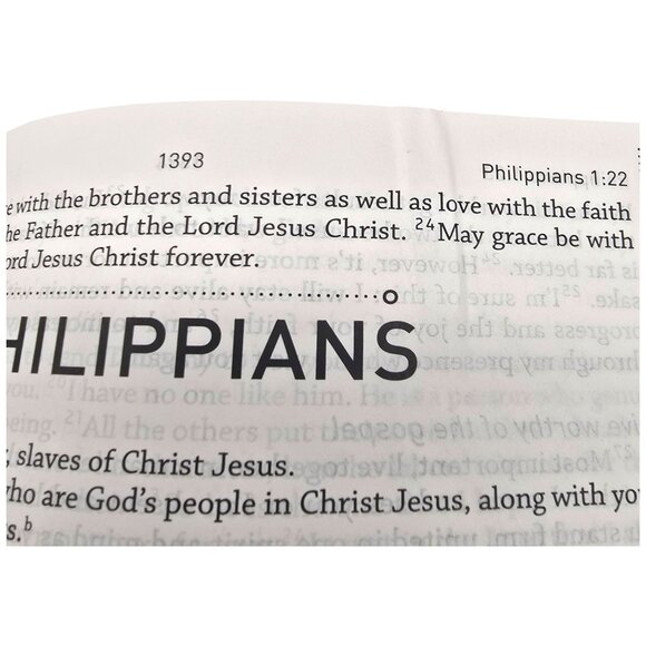 The Daily Life Bible LARGE PRINT EDITION Easy To Read Common English Bible - Picture 14 of 16